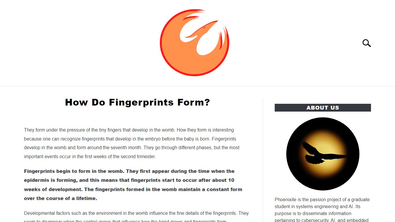 How Do Fingerprints Form? – Phoenixite